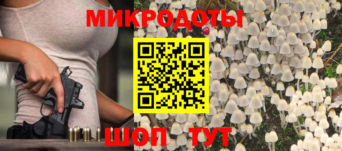 Галлюциногенные грибы MAGIC MUSHROOMS Северобайкальск